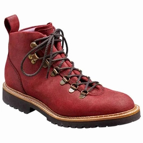Terrex Trailmaker Gore-tex Hiking BARKER Julie Boots - Ladies Hiking - Plum Waxy Suede