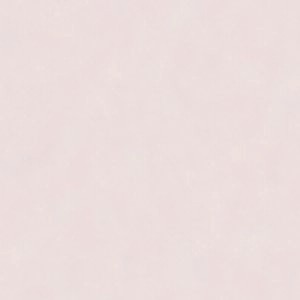 Blushh Converses High Heels