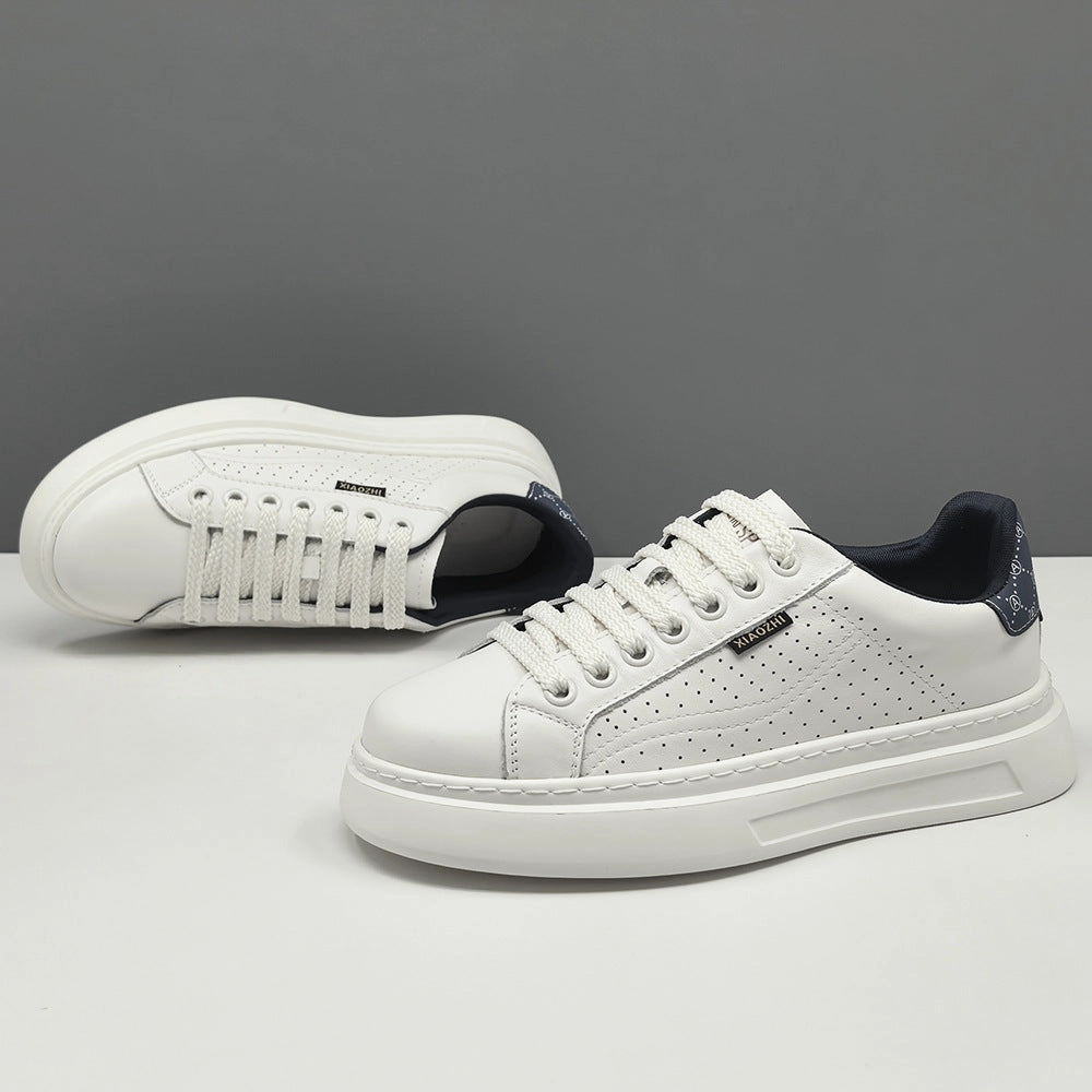 Men's Stylish Quilted Leather Flat Court Sneakers The Flat Head Shoes
