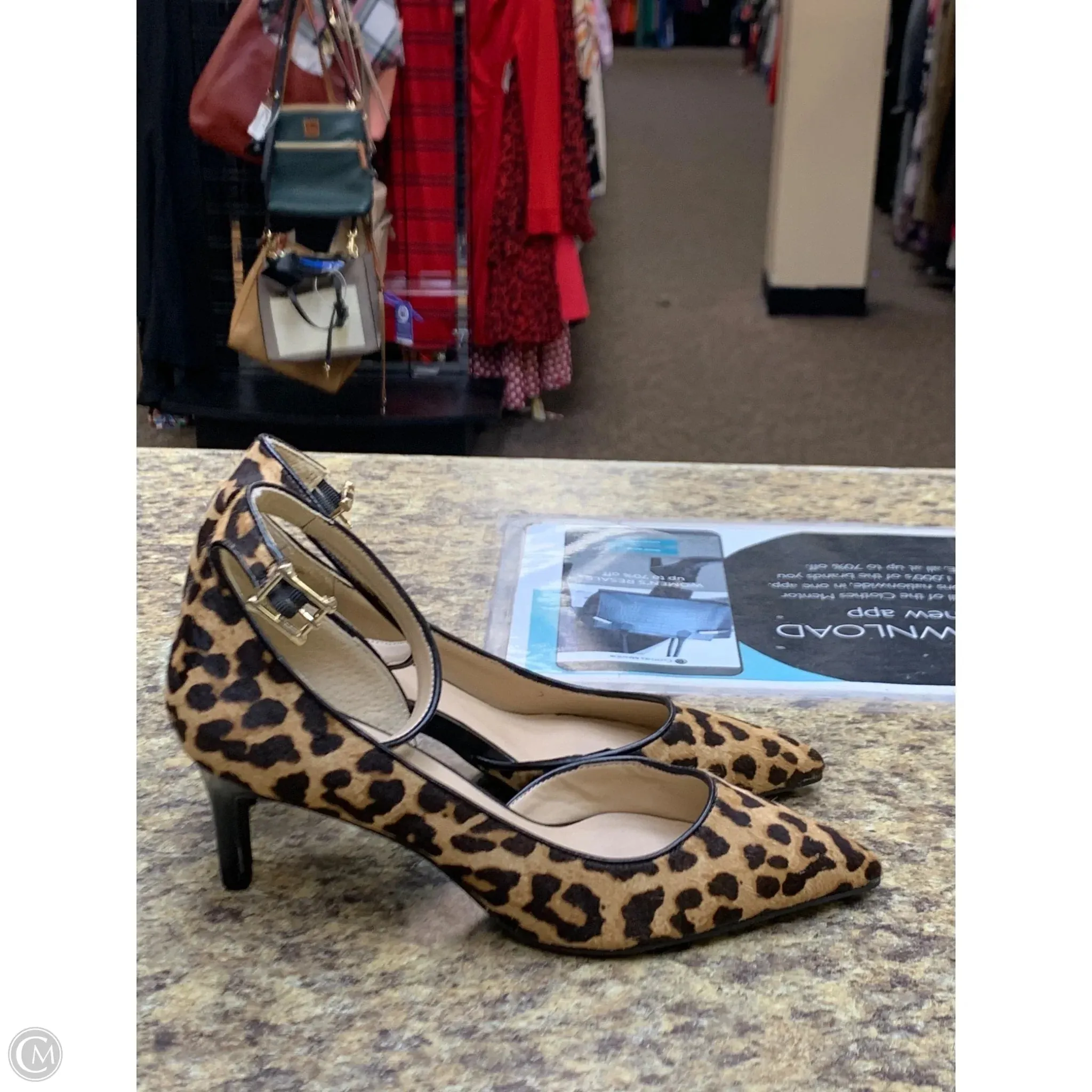 Pantyhose High Heels Shoes Heels Kitten By Franco Sarto In Leopard Print, Size: 7