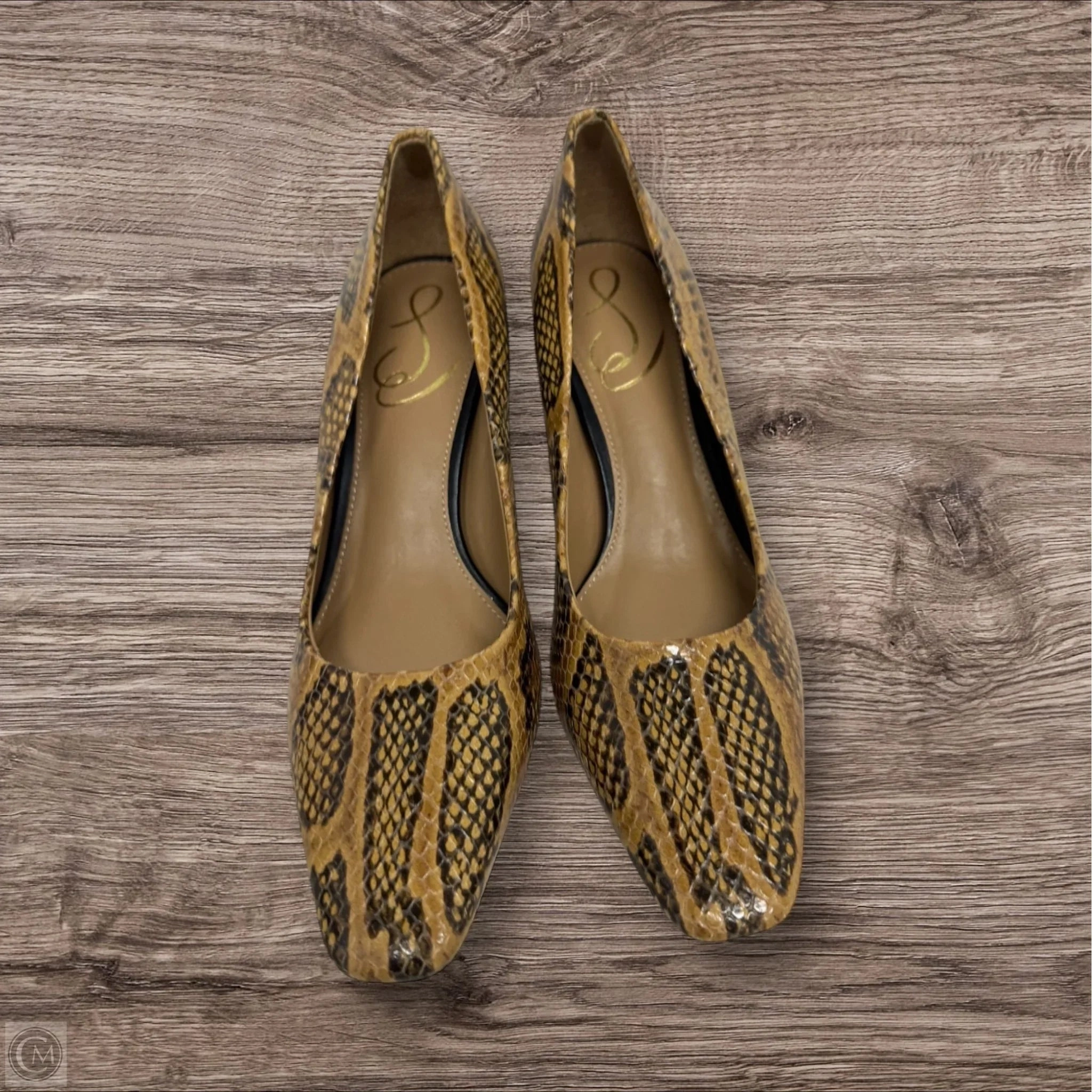 White Strap Shoes Heels Kitten By Sam Edelman In Snakeskin Print, Size: 5