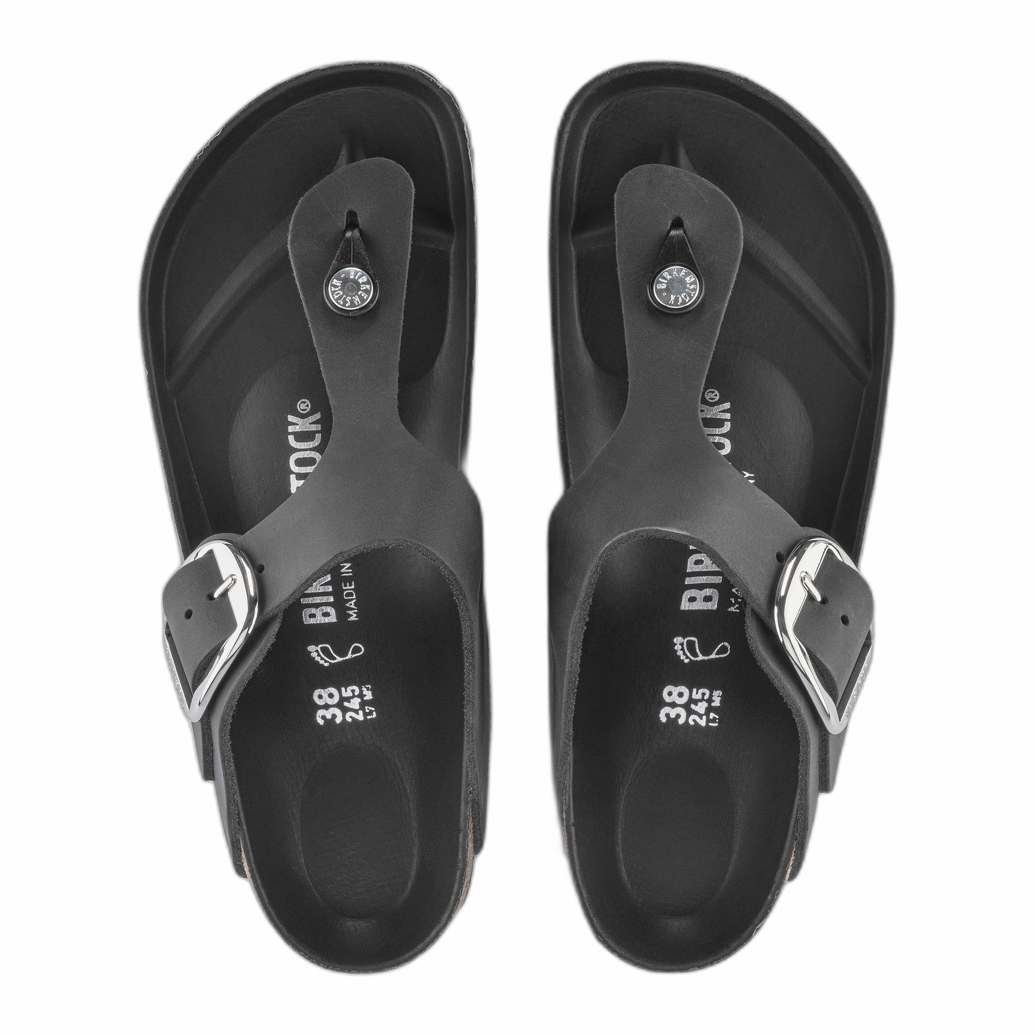 Siena Gizeh Big Buckle Oiled Leather