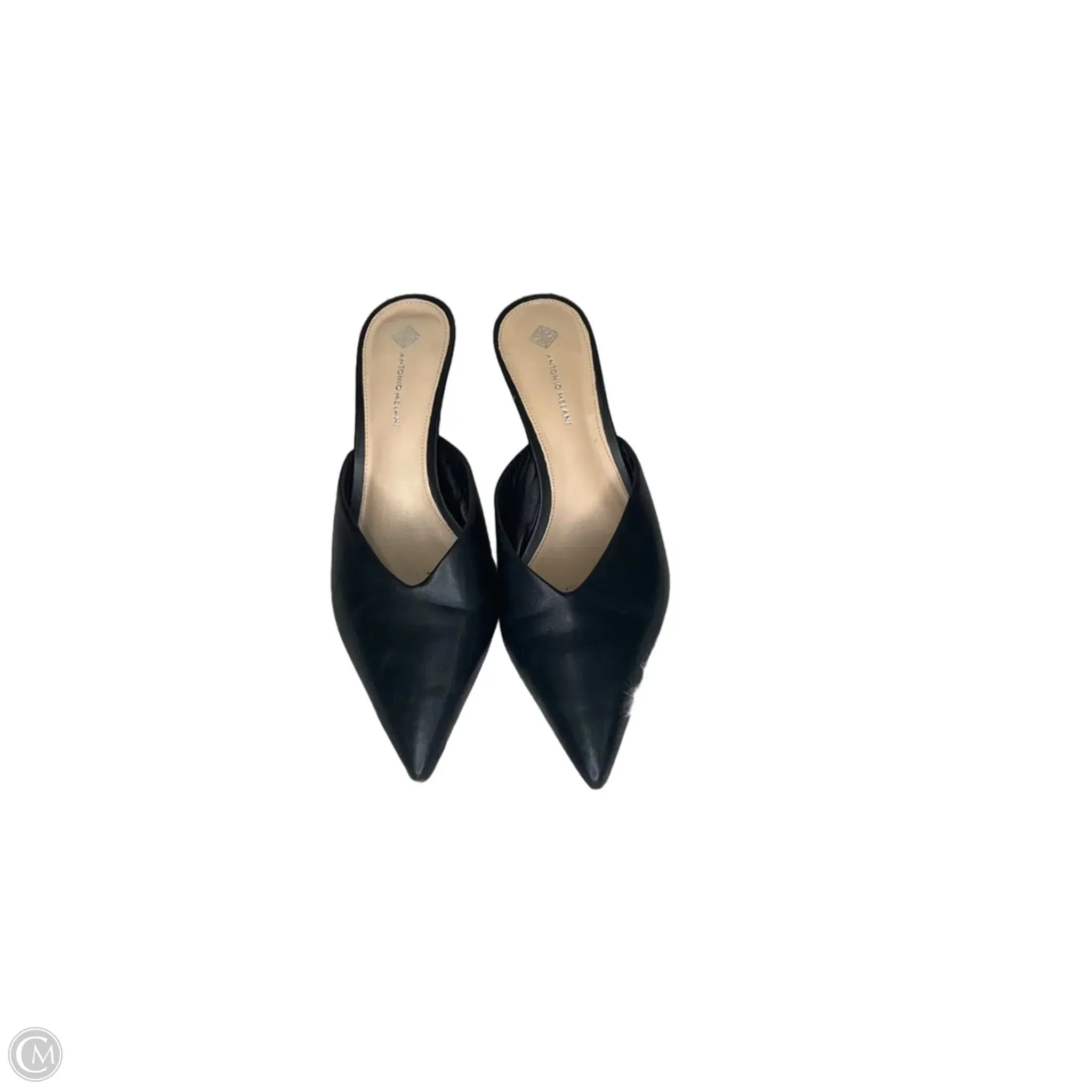 Celebrities In High Heels Shoes Heels Kitten By Antonio Melani In Black, Size: 10