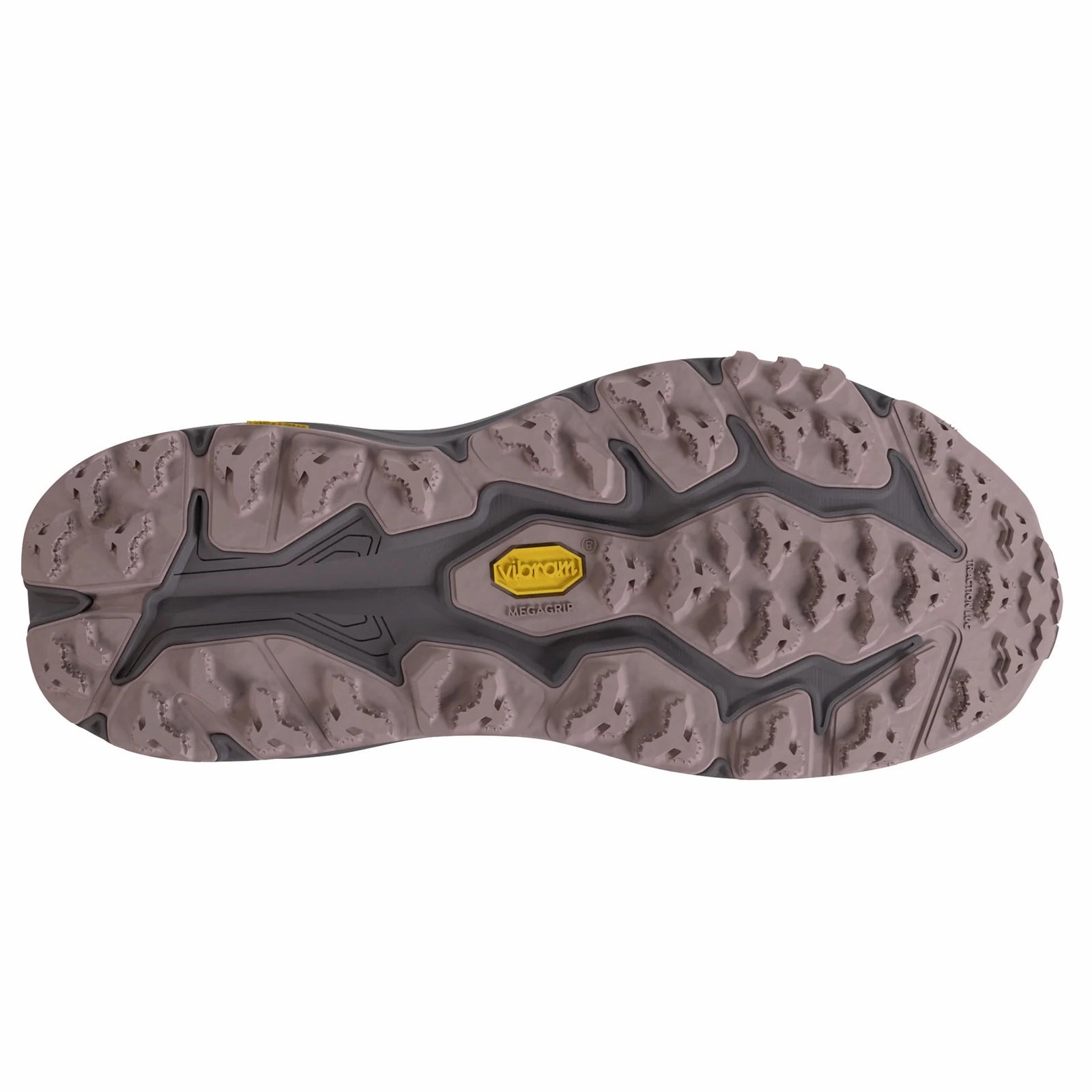 Trail And Street Running Shoes Hoka Speedgoat 6 GTX Textile Women's Running Smoky Quartz Quartzite Trainers