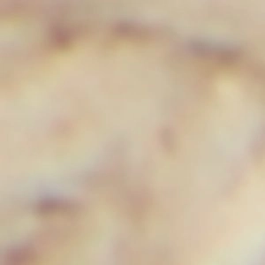 Heel Support For High Heels Moaana