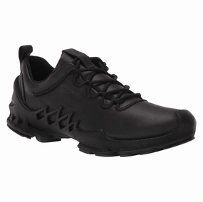 Long Distance Trail Running Shoes Ecco Biom AEX Leather Women's Low Top Trainers