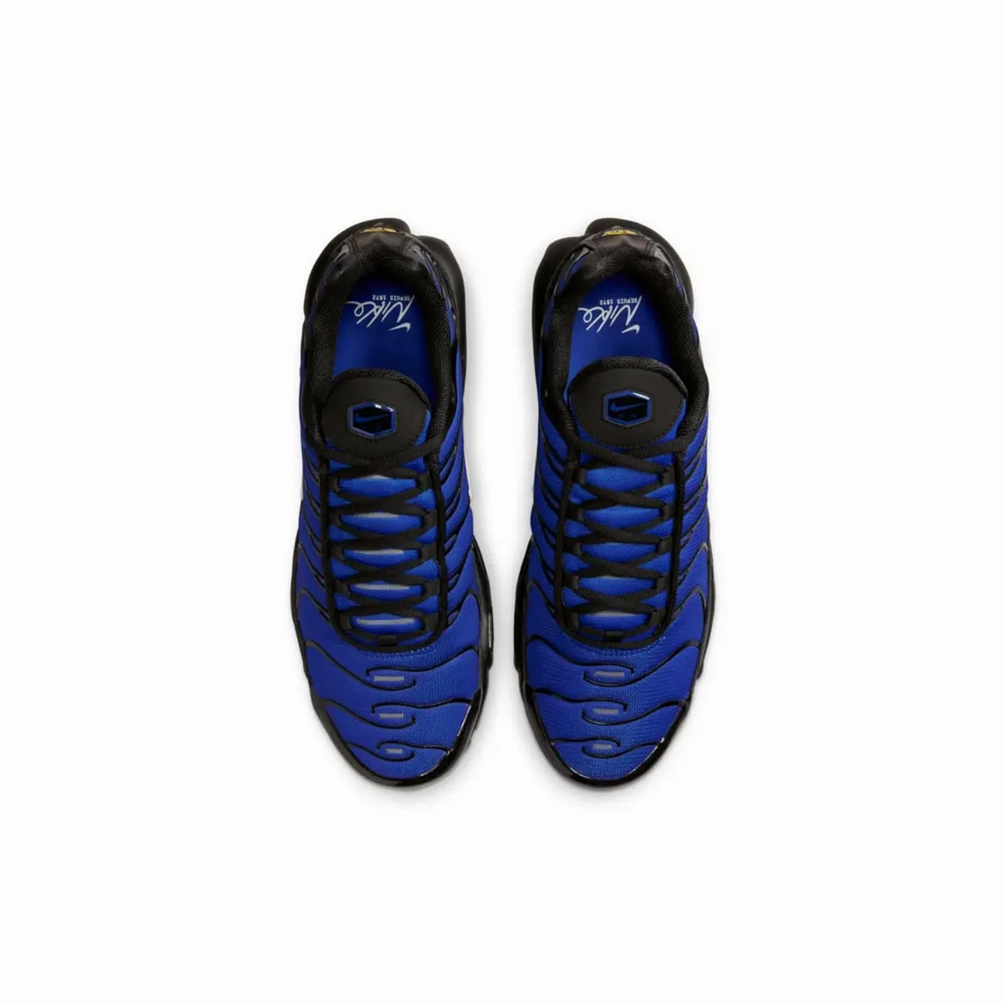 Nike Terminator Low Shoes Nike Air Max Plus TN Premium 'Black Racer Blue' (2024)