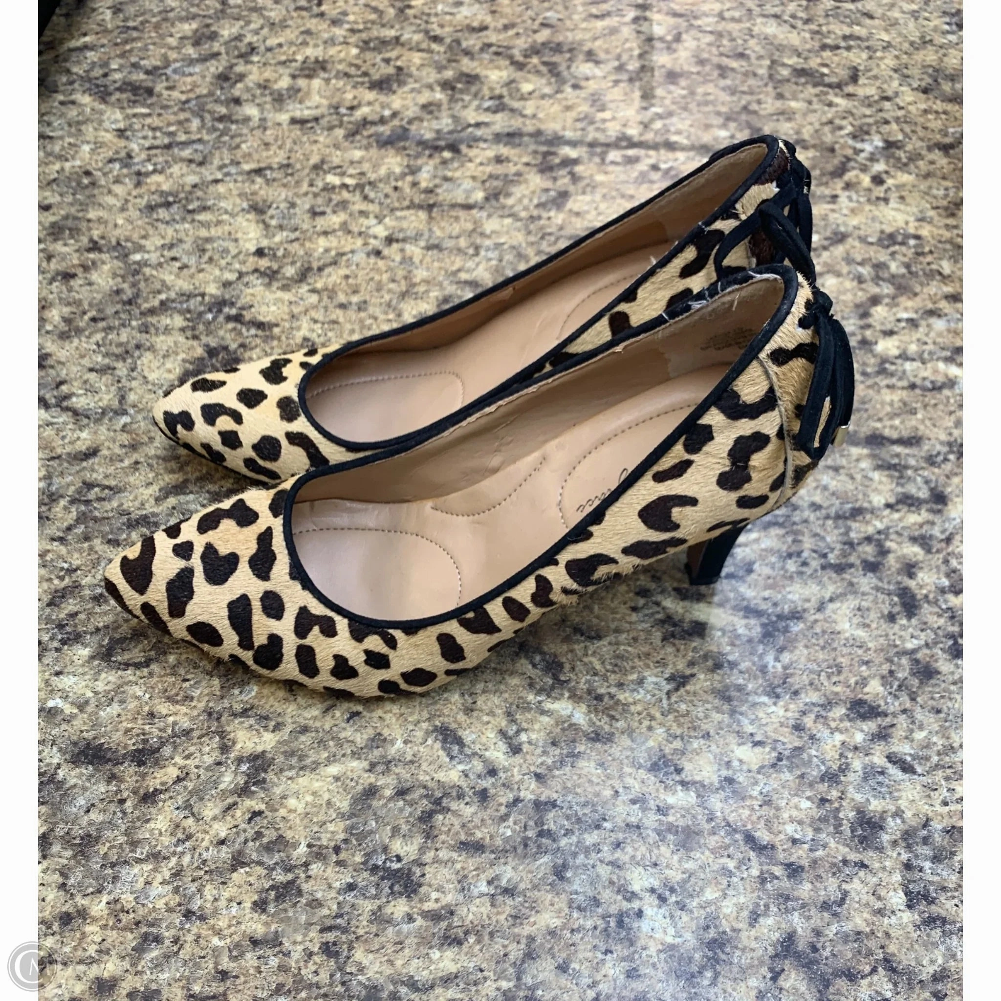 High Heel Tennis Shoes Shoes Heels Kitten By Cmf In Animal Print, Size: 6