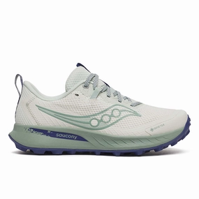 Trail Shoes Saucony Women's Peregrine 15 GTX