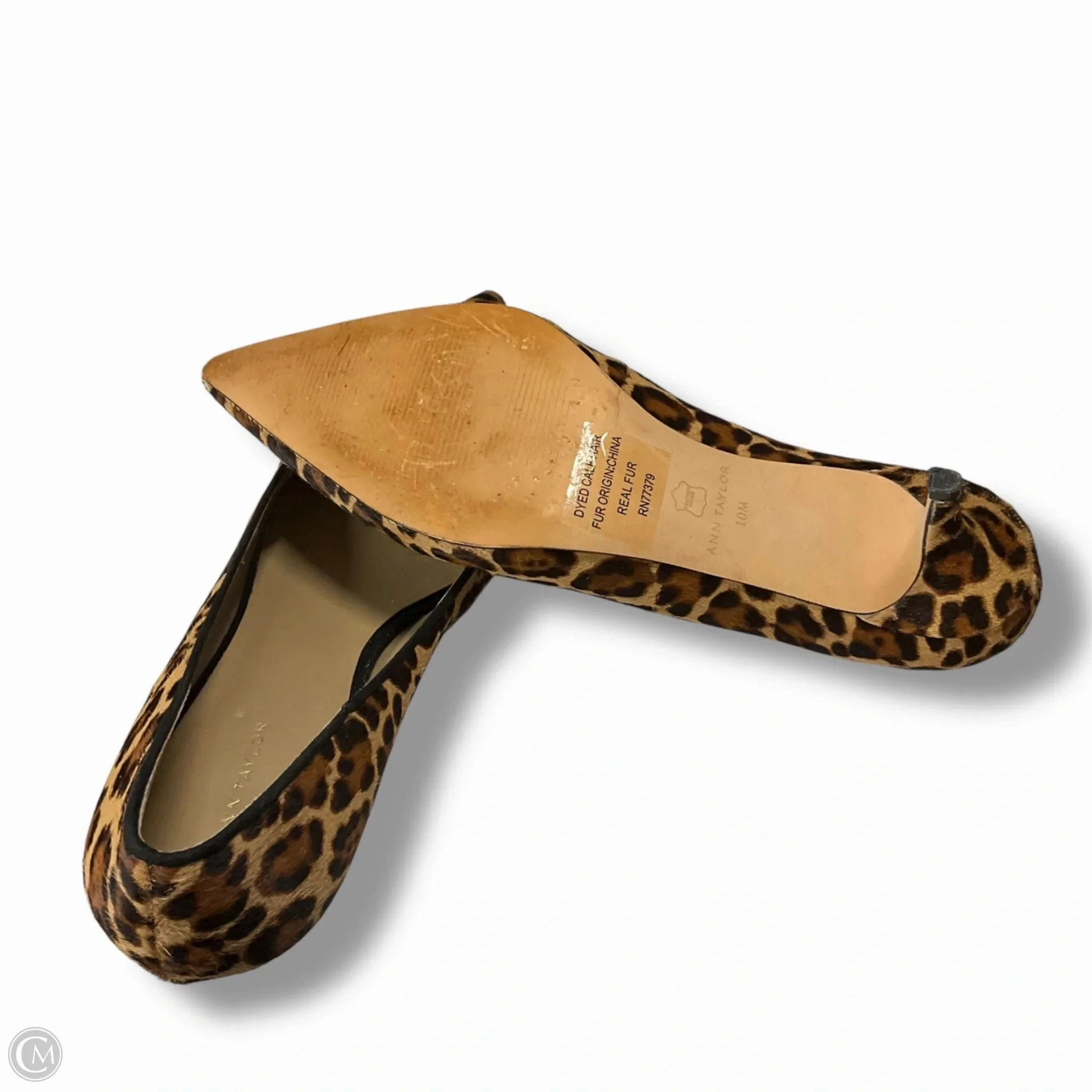 High Heels Size 13 Shoes Heels Kitten By Ann Taylor In Animal Print, Size: 10