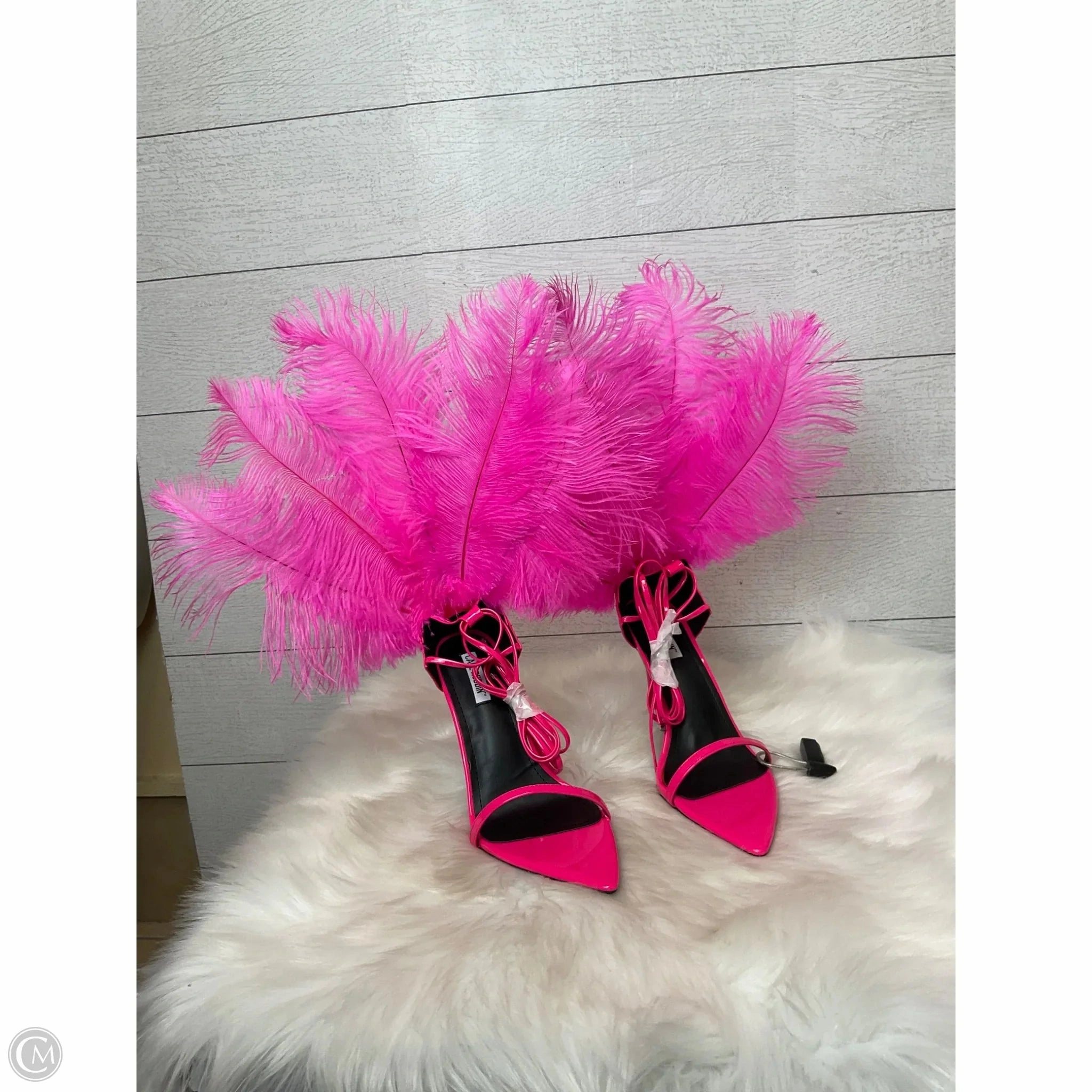 Knee Low Heel Boots Shoes Heels Kitten By Cape Robbin In Pink, Size: 9