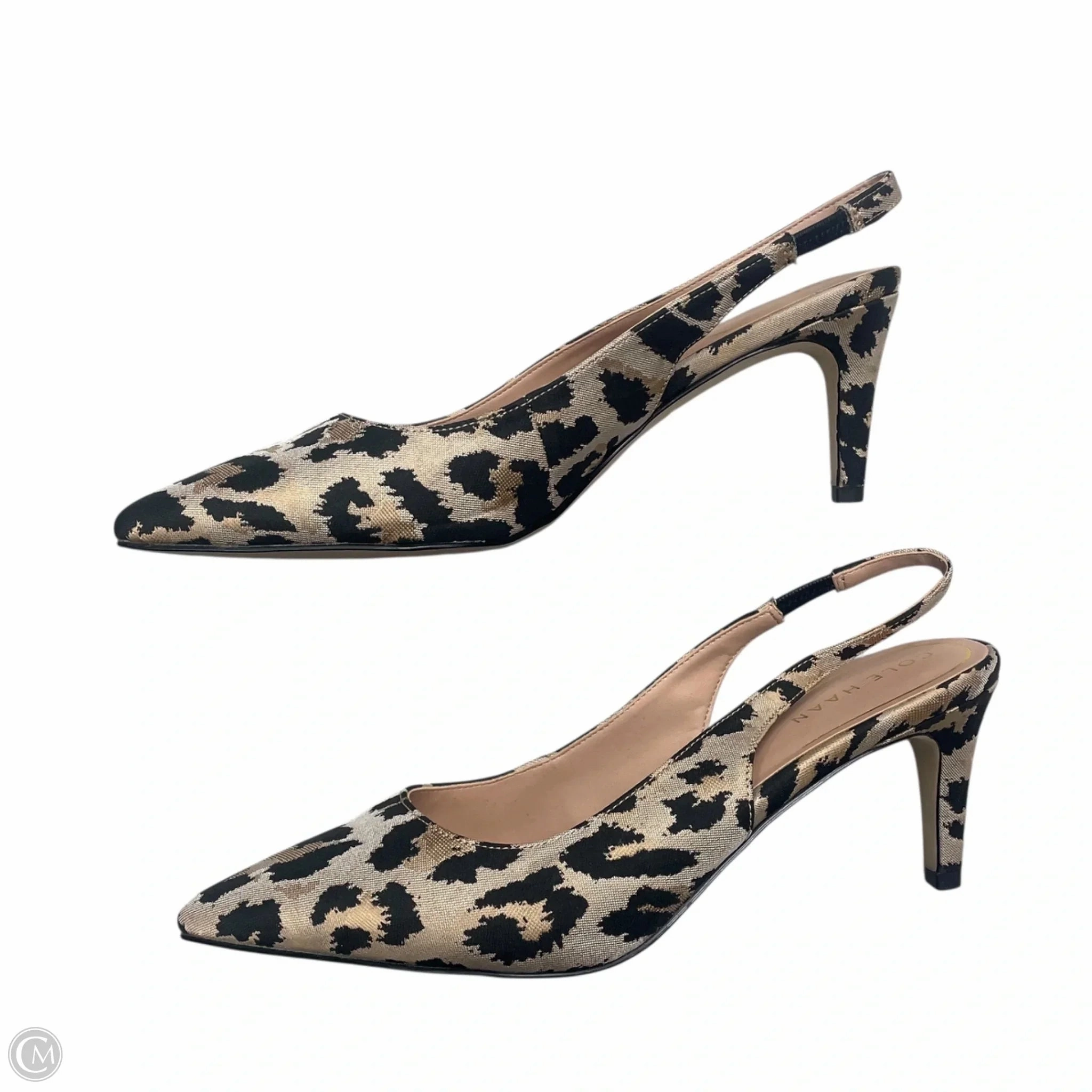 Man Wearing High Heels Shoes Heels Kitten By Cole-haan In Leopard Print, Size: 8
