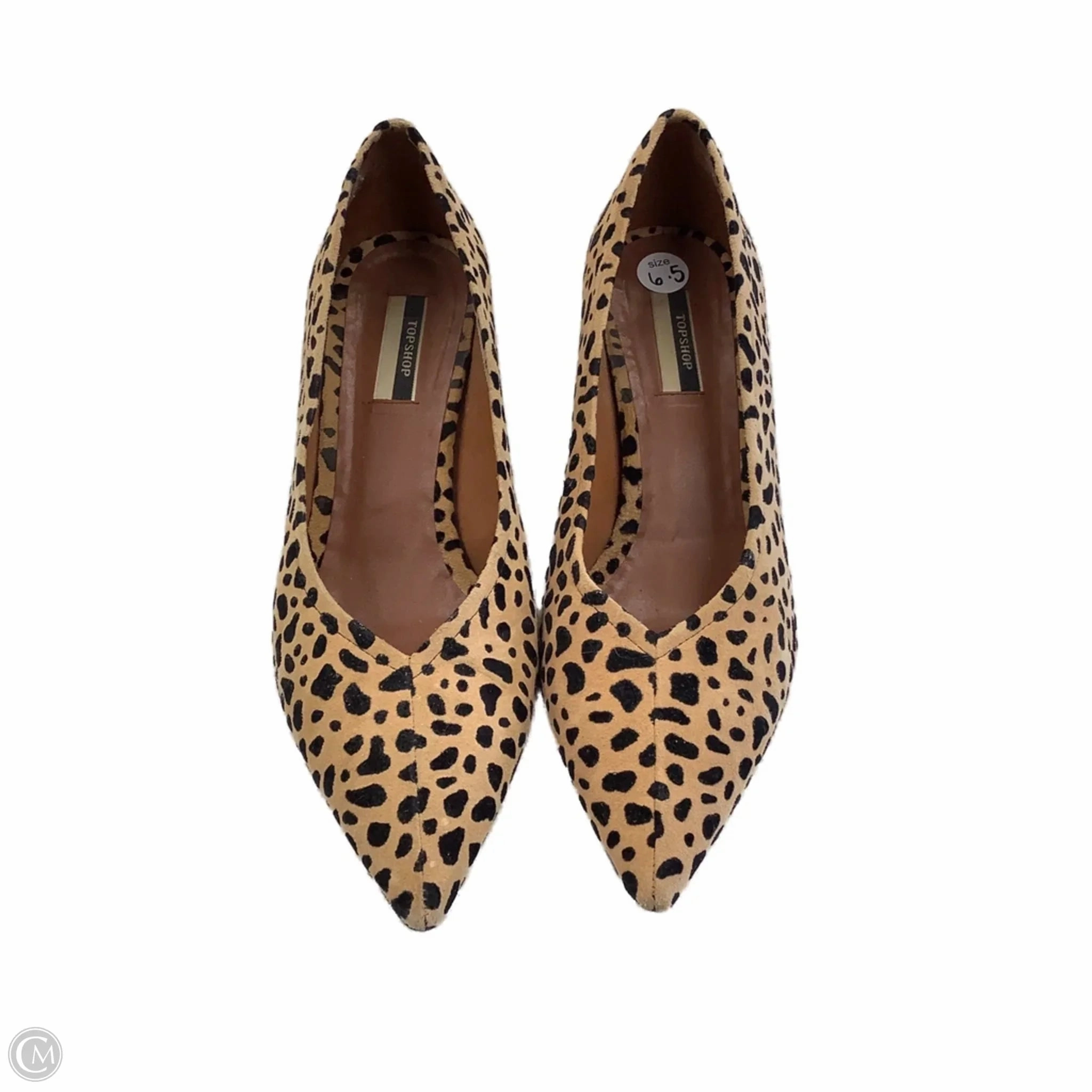 Shoes Heels Kitten By Top Shop In Animal Print, Size: 6.5 Closed Toe High Heels With Straps