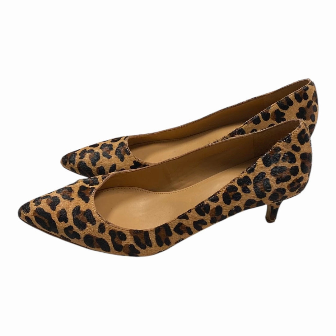 Shoes Heels Kitten By J. Crew In Animal Print, Size:8.5 Knee High Lace