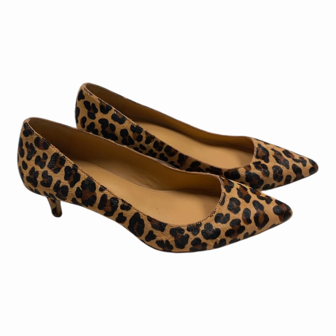 Shoes Heels Kitten By J. Crew In Animal Print, Size:8.5 High Heel Sneaker