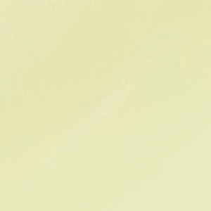 Heels Shoes Aurellia